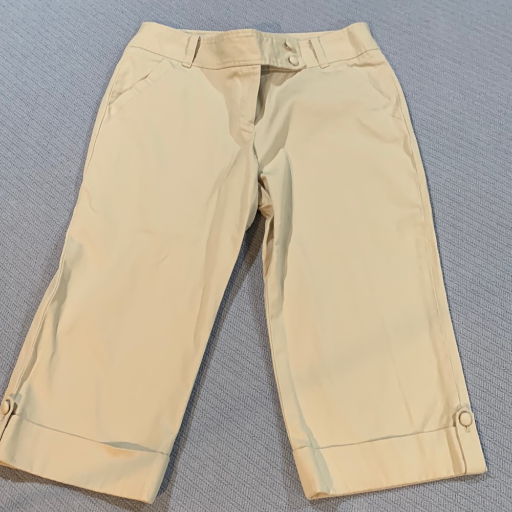 Ann Taylor Lindsay cropped chino